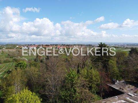 Mainz Renditeobjekte, Mehrfamilienhäuser, Geschäftshäuser, Kapitalanlage