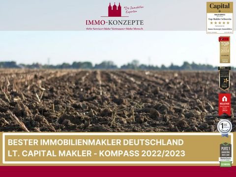 Zickhusen / Drispeth Bauernhöfe, Landwirtschaft, Zickhusen / Drispeth Forstwirtschaft