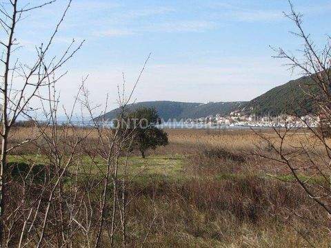 Rab Bauernhöfe, Landwirtschaft, Rab Forstwirtschaft