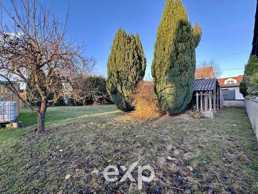 Grundstück mit Hütte 