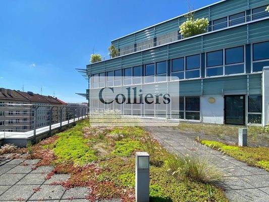 Terrassenfläche 4. OG -  Ei...