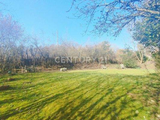 Der herrlich große Vorgarten