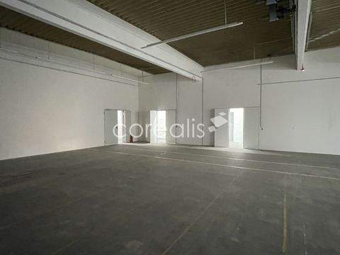 Duisburg Halle, Duisburg Hallenfläche