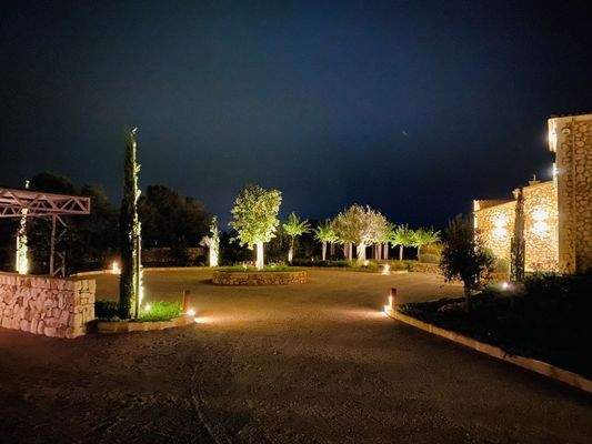 78ba59d6-adfd-4d8f-8b51-00be4c4ccc96