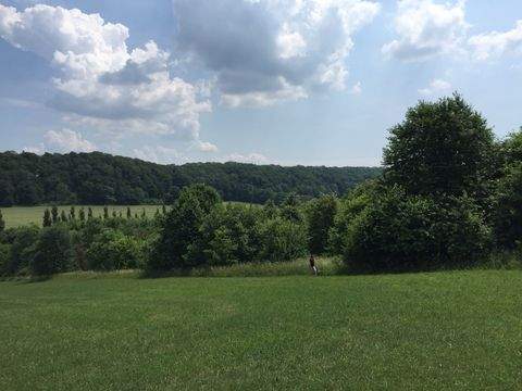 Sondershausen Bauernhöfe, Landwirtschaft, Sondershausen Forstwirtschaft