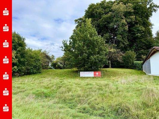 Leichter Süd-West-Hang