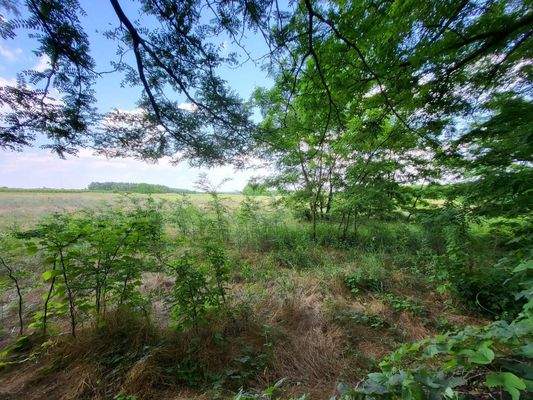 Örkény 20 ha Übersicht