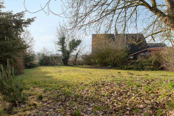 00 Grundstück Süd-Westen.jpg