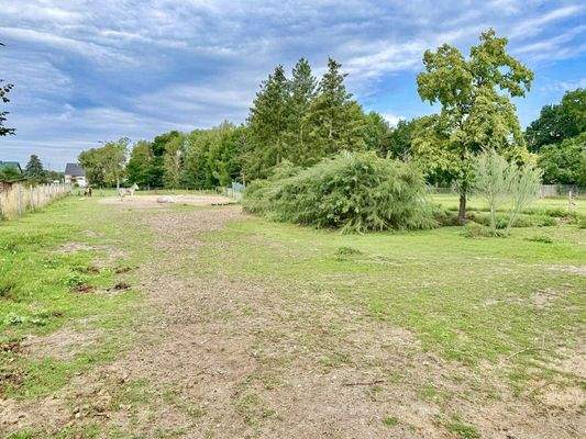 Sommerimpression | Grundstück