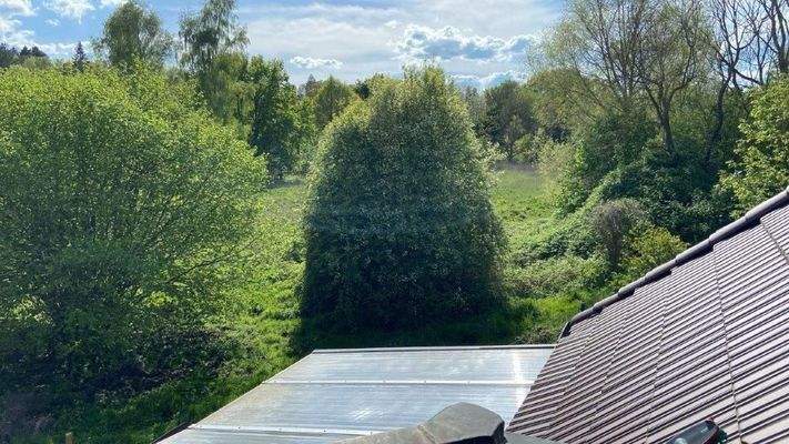 makellos EFH SN Hufenweg - unverbaubarer Blick.jpg