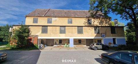 Fürstenfeld Halle, Fürstenfeld Hallenfläche