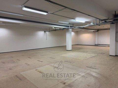 Hamburg Halle, Hamburg Hallenfläche