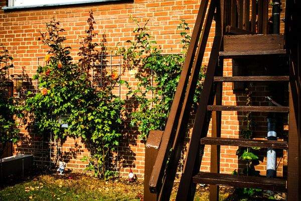Garten/ Hochterrasse-Treppe