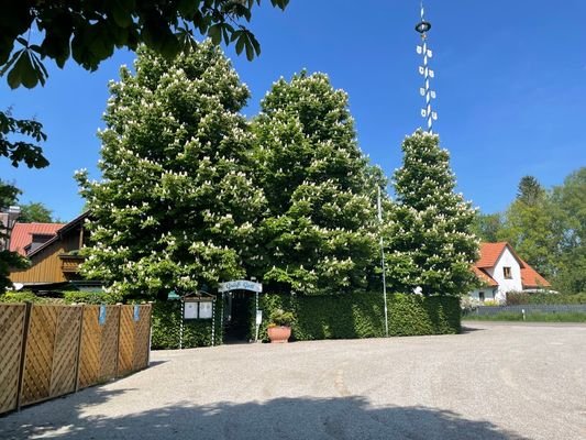 Biergarten und Außenbereich