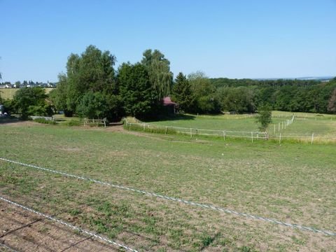 Glashütten Bauernhöfe, Landwirtschaft, Glashütten Forstwirtschaft