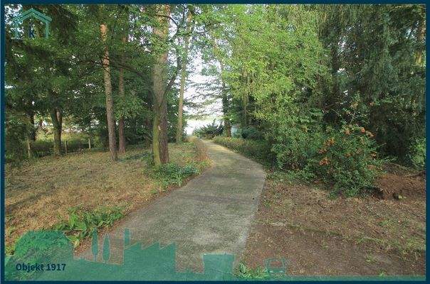 1917 Weg zum Wasser.jpg