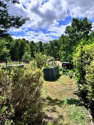 2024-06-23 12.30.21.jpg