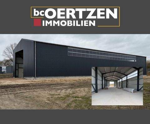 Salzhausen Halle, Salzhausen Hallenfläche