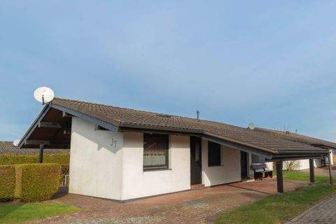 Butjadingen Renditeobjekte, Mehrfamilienhäuser, Geschäftshäuser, Kapitalanlage