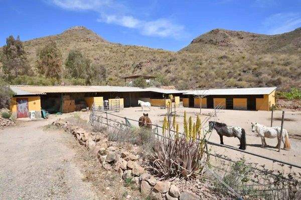 2365SP Murcia, Aguilas, Los Arejos - Finca mit Gästehaus und Pferdestall zu verkaufen