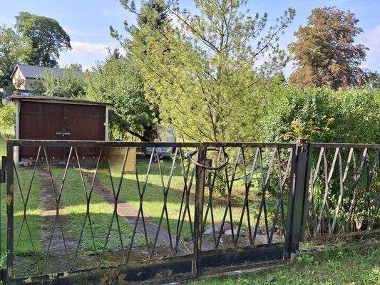 Bilder aus dem Sommer