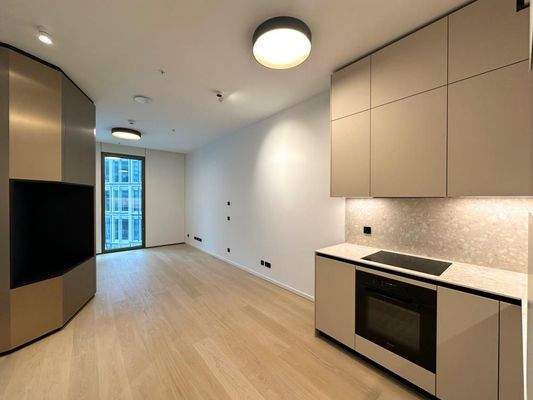 Wohnbereich + Küche