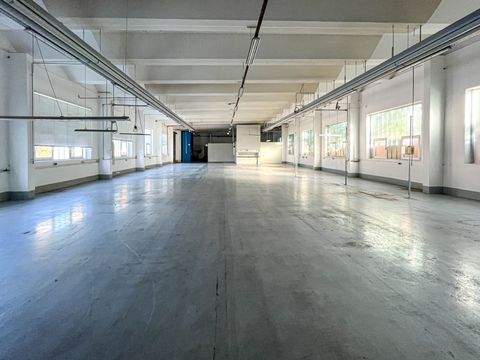 Bernsdorf Halle, Bernsdorf Hallenfläche