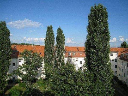 Blick in den Innenhofgarten