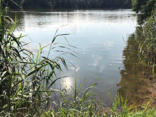 Bade- und Angelsee Groß Pankow