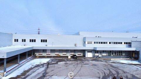 Wiener Neudorf Halle, Wiener Neudorf Hallenfläche