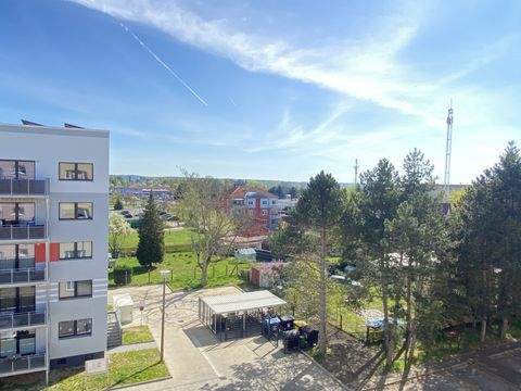 Bad Düben Wohnungen, Bad Düben Wohnung mieten