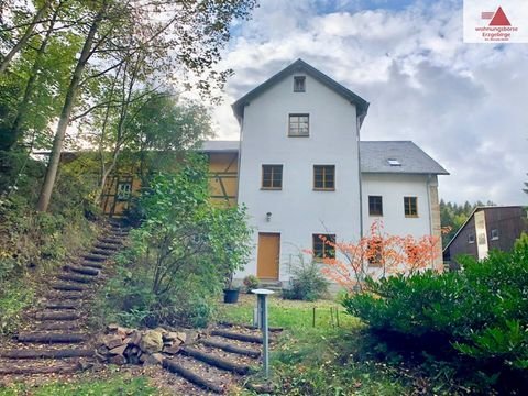 Dippoldiswalde / Schmiedeberg Wohnungen, Dippoldiswalde / Schmiedeberg Wohnung mieten