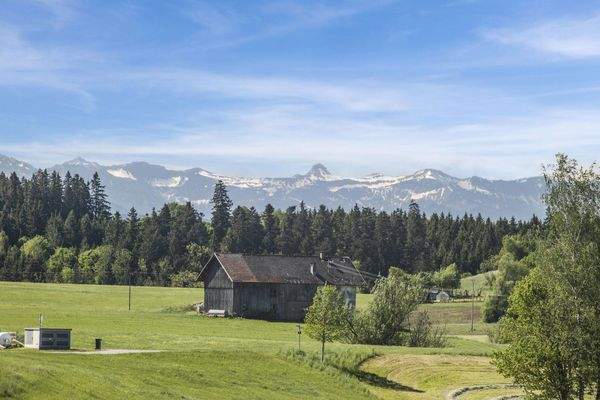 Bergsicht von allen Wohnungen