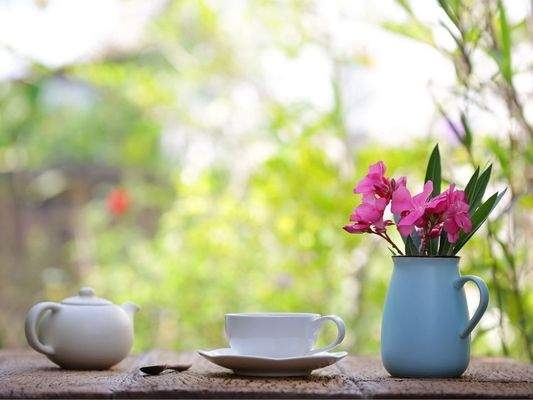 Eigenes Gärtchen.jpg