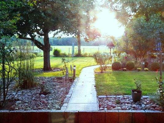 Gepflegte Grünanlagen