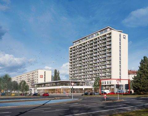 Dresden Ladenlokale, Ladenflächen 