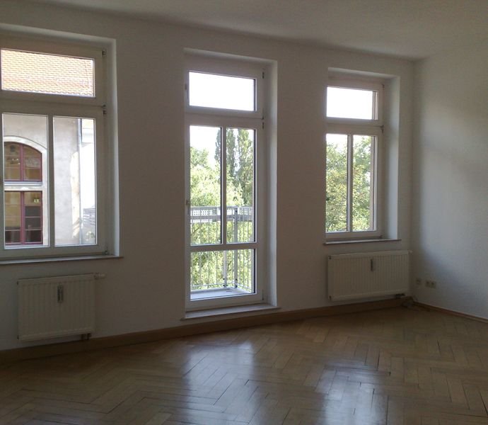1 Zimmer Wohnung in Leipzig (Schleußig)