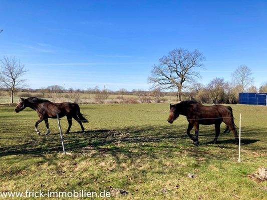 012-Hausweide Westen.JPG