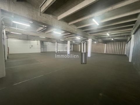 Nürnberg Halle, Nürnberg Hallenfläche