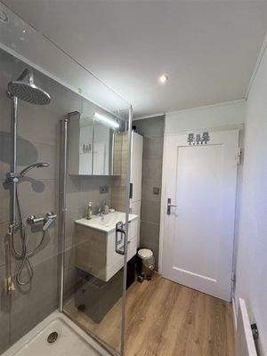 Modernes Tageslicht-Duschbad im EG