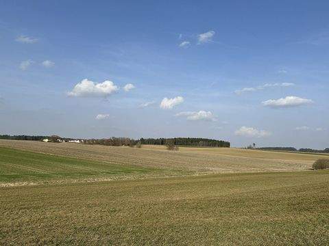 Gangkofen / Kollbach Bauernhöfe, Landwirtschaft, Gangkofen / Kollbach Forstwirtschaft