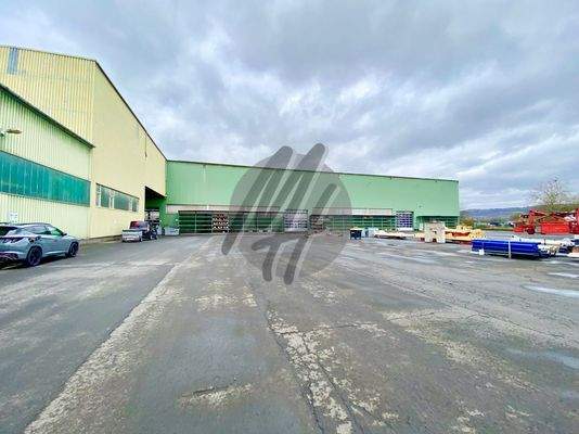 INFOS UNTER: 06171-586000