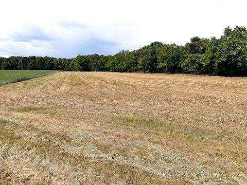 Lengerich Bauernhöfe, Landwirtschaft, Lengerich Forstwirtschaft