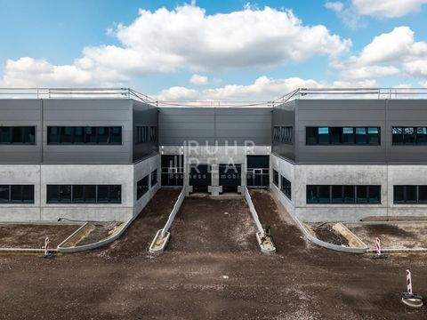 Essen Halle, Essen Hallenfläche