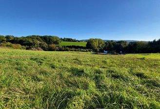 Obj. 3982 - Baugrund Neulengbach