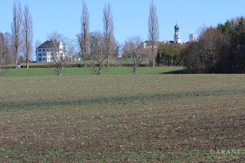 Chieming Bauernhöfe, Landwirtschaft, Chieming Forstwirtschaft