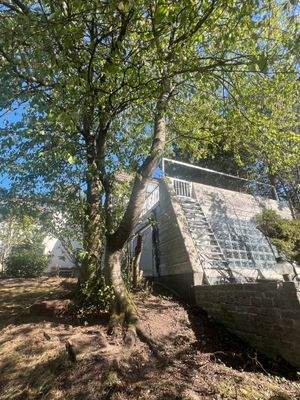 Gartenzugang Terrasse EG IMG_4773.JPG