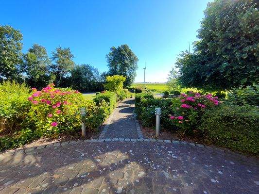 31b) IMG_20250701_085734.jpg