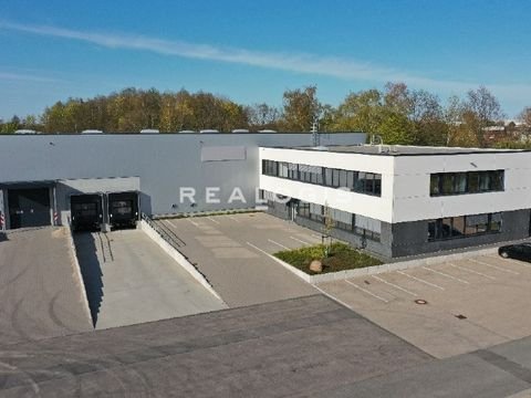 Koblenz Halle, Koblenz Hallenfläche