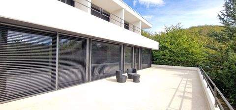 Trier Häuser, Trier Haus kaufen